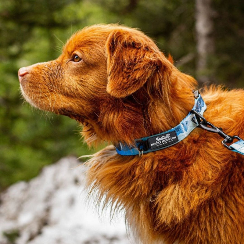 Load image into Gallery viewer, Kootenay Alpine Dog Collar - Rocky Mountain Dog