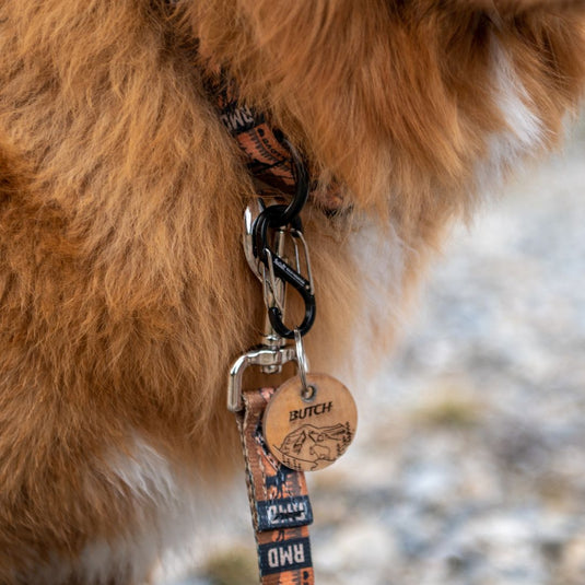 RMD S-Carabiner - Rocky Mountain Dog