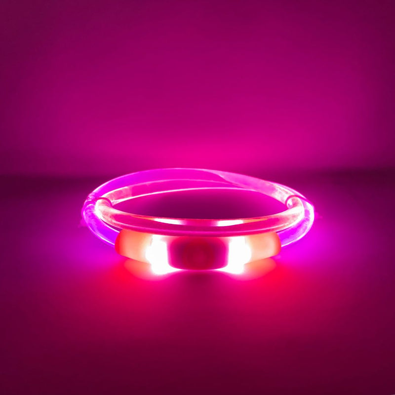 Load image into Gallery viewer, Mountain Beacon - LED Dog Safety Collar - Rocky Mountain Dog