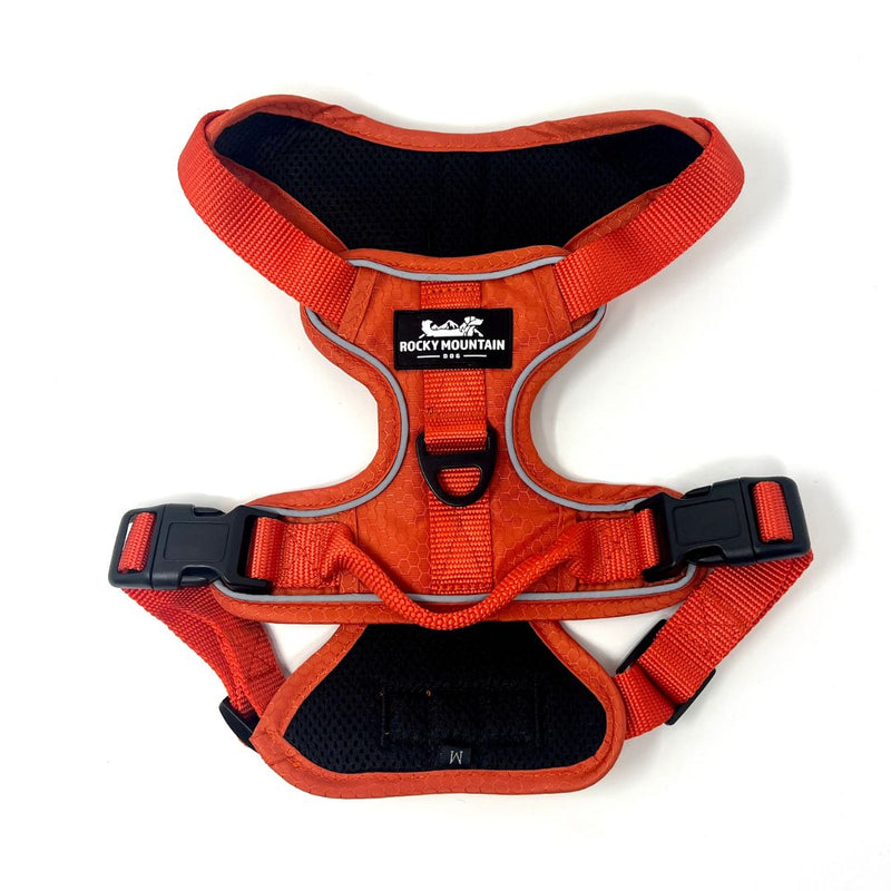 Load image into Gallery viewer, Summit All-Terrain Dog Harness - Rocky Mountain Dog