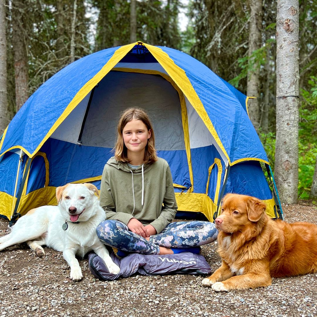 Dog camping stuff best sale