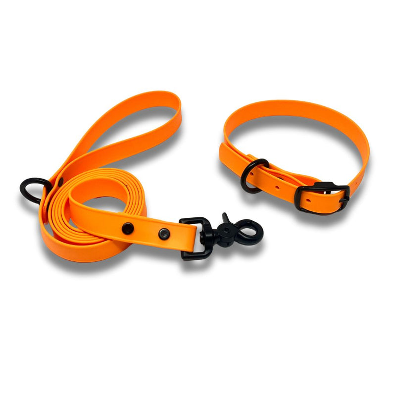 Load image into Gallery viewer, RMD Biothane Leashes - Rocky Mountain Dog