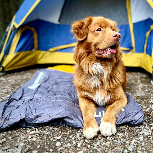 Yukon Dog Sleeping Bag - Rocky Mountain Dog