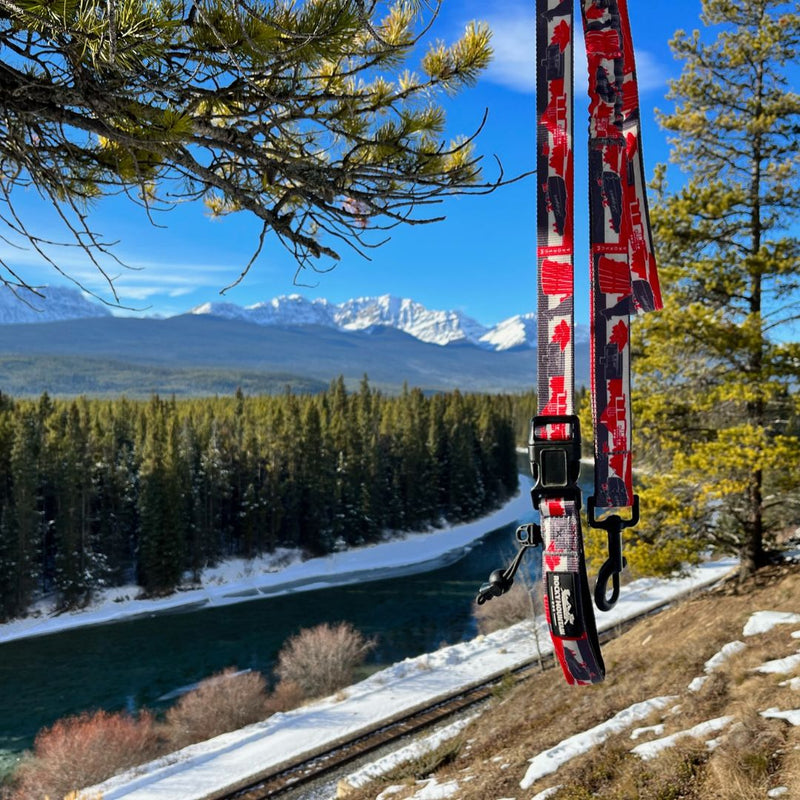 Load image into Gallery viewer, Red dog leash hanging from a tree near a river in castle lookout trailhead, castle, ab
