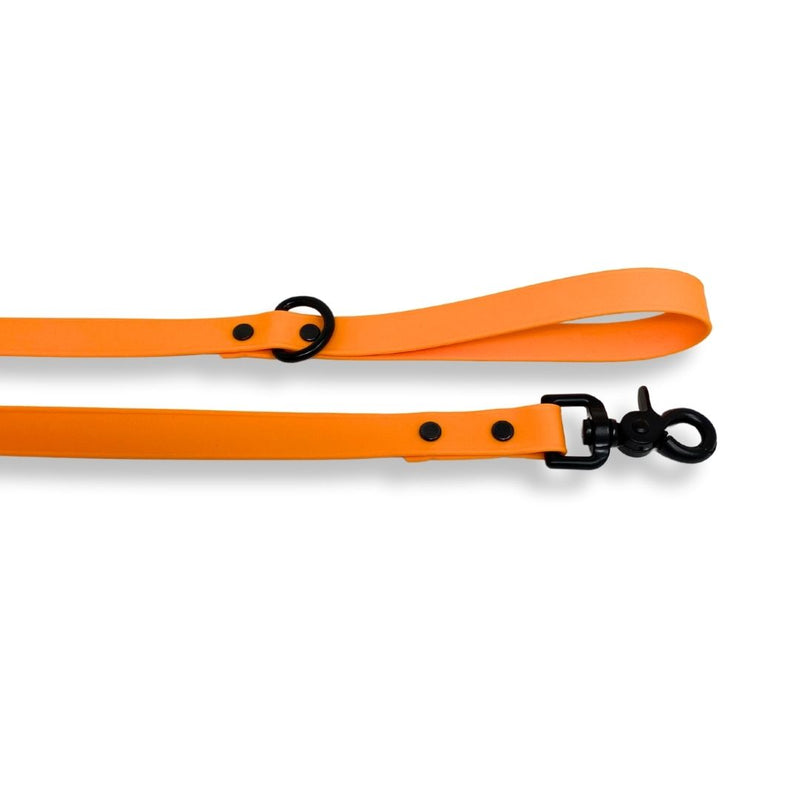 Load image into Gallery viewer, RMD Biothane Leashes - Rocky Mountain Dog