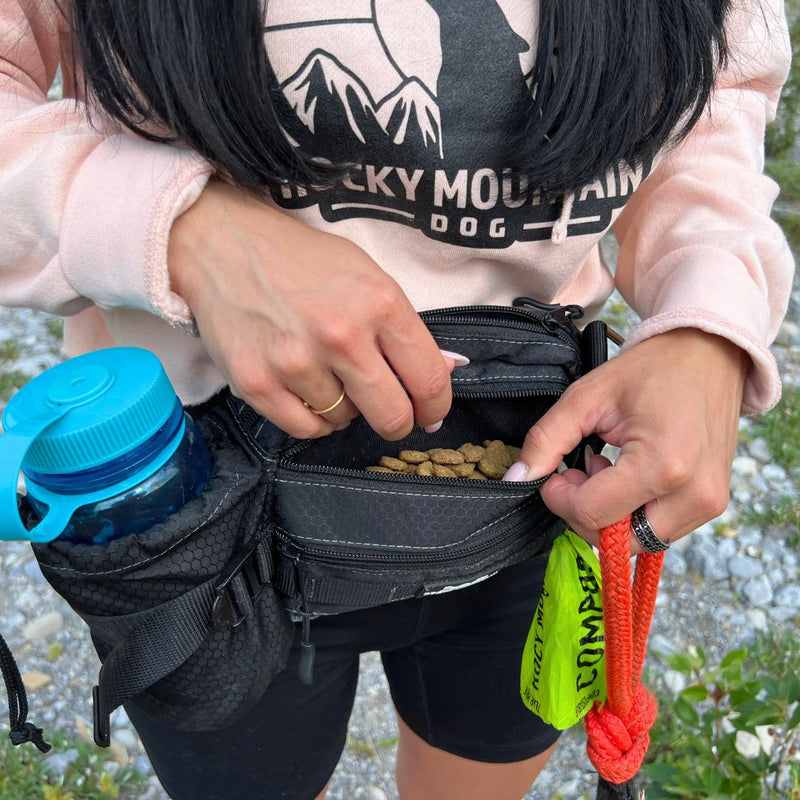 Load image into Gallery viewer, Aspen Fanny Pack - Rocky Mountain Dog