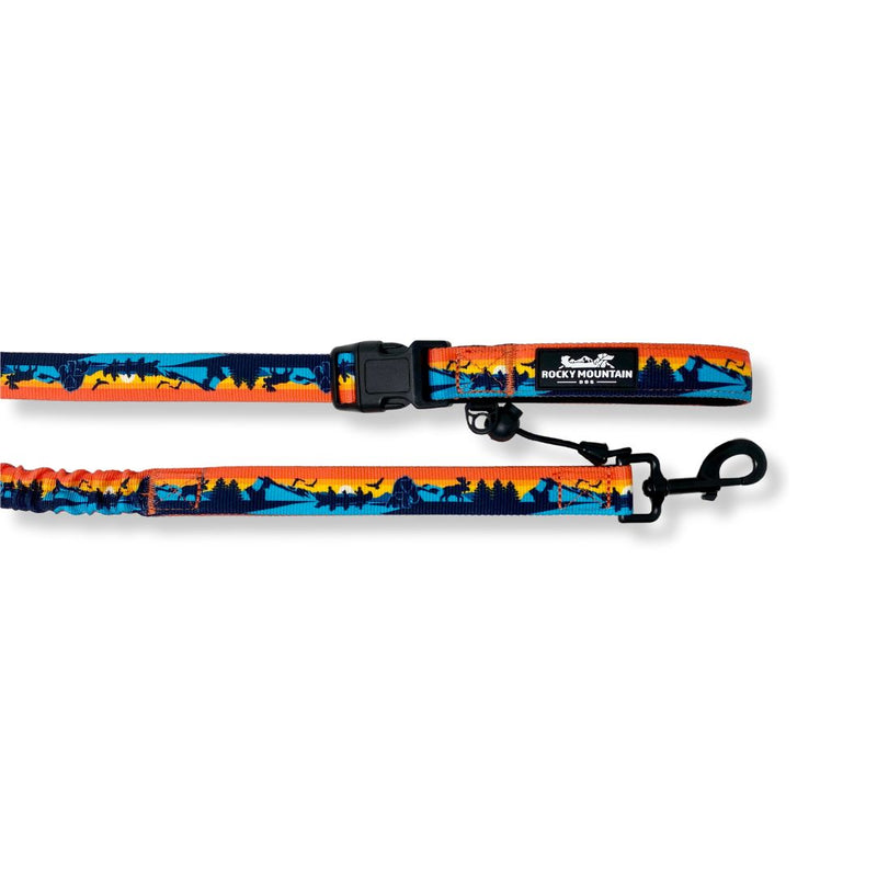 Load image into Gallery viewer, Banff All Mountain Dog Leash - Rocky Mountain Dog