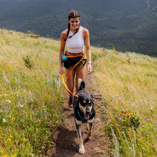 RMD Hands-Free Biothane Waterproof Leashes - Swivel Carabiner - Rocky Mountain Dog