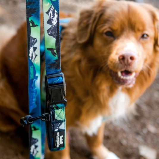 V2 Canmore All Mountain Dog Leash - Rocky Mountain Dog