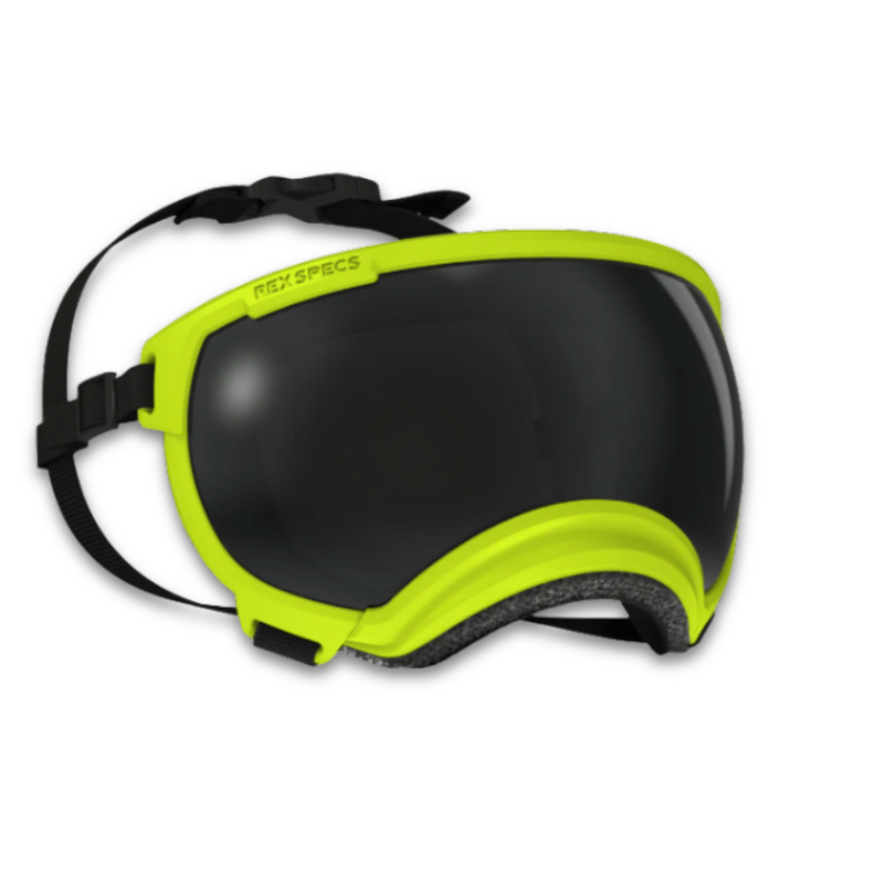 Load image into Gallery viewer, V2 Large Dog Goggles - Rocky Mountain Dog