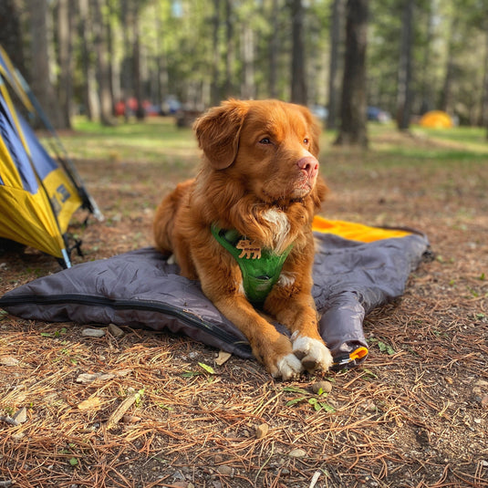 Yukon Dog Sleeping Bag - Rocky Mountain Dog