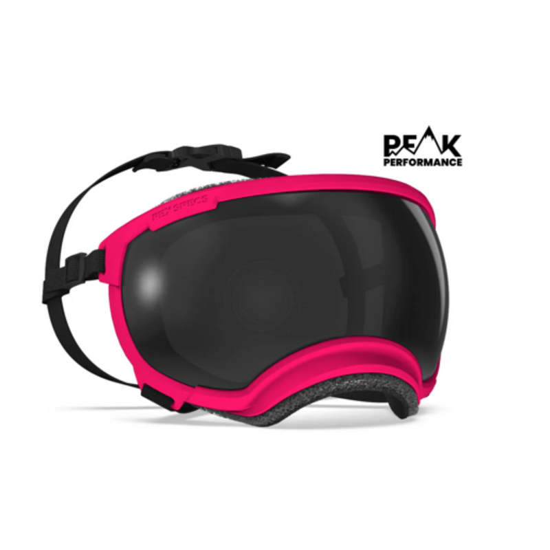 Load image into Gallery viewer, V2 Medium Dog Goggles - Rocky Mountain Dog