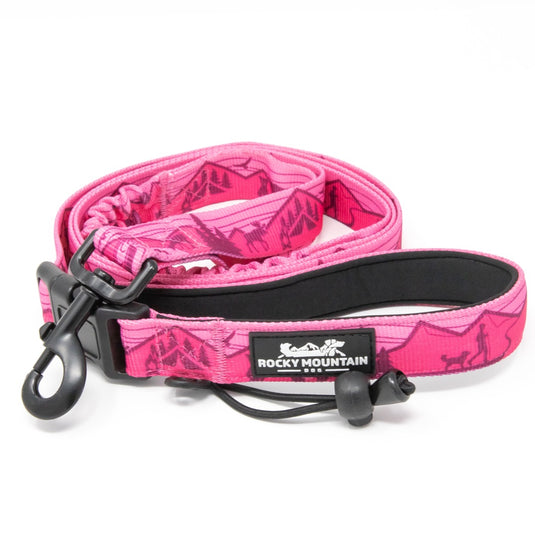 Cascade All Mountain Dog Leash - Rocky Mountain Dog