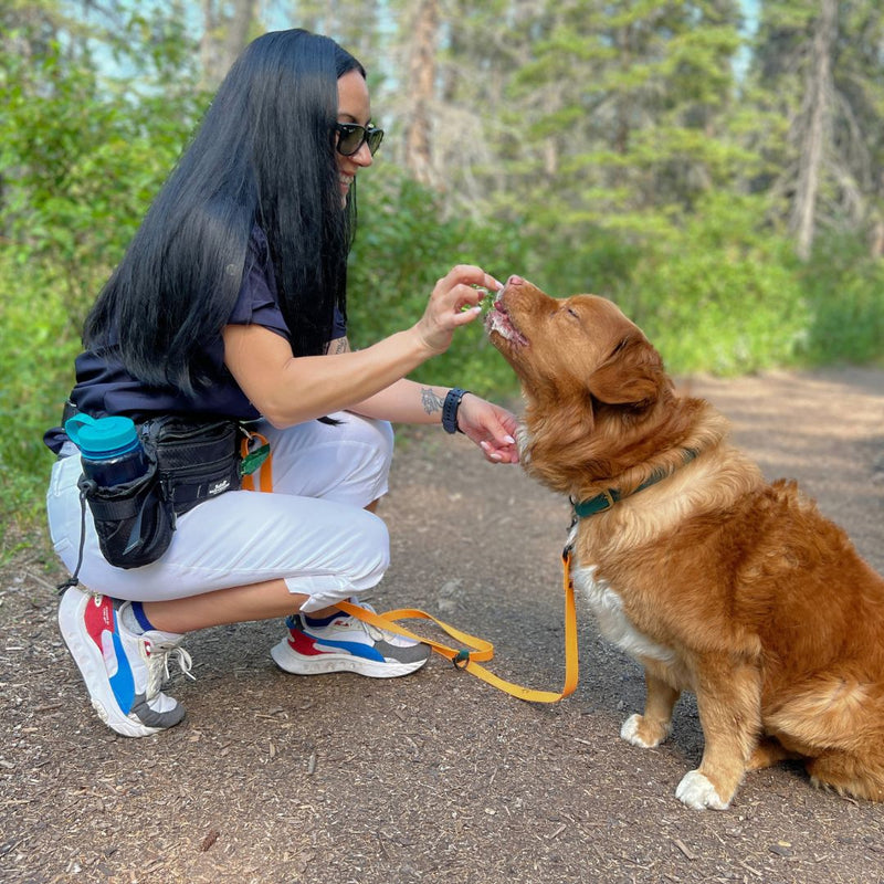 Load image into Gallery viewer, Aspen Fanny Pack - Rocky Mountain Dog