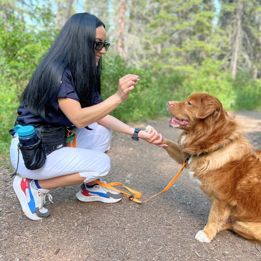 Aspen Fanny Pack - Rocky Mountain Dog