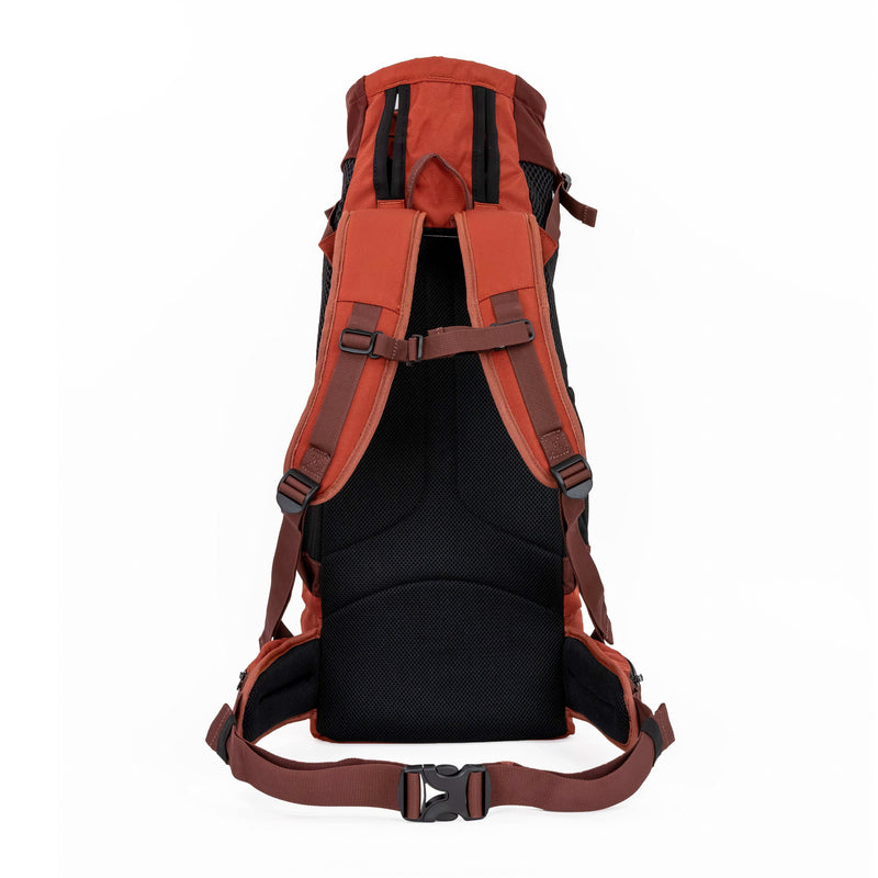 Load image into Gallery viewer, K9 Sport Sack Knavigate
