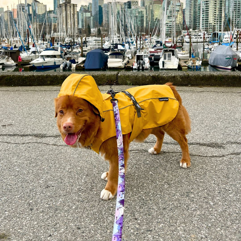 Load image into Gallery viewer, PNW All Mountain Dog Leash - Rocky Mountain Dog