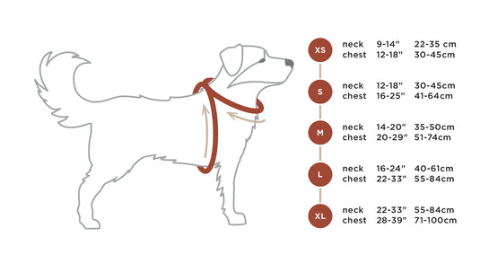 Summit All-Terrain Dog Harness Size Chart
