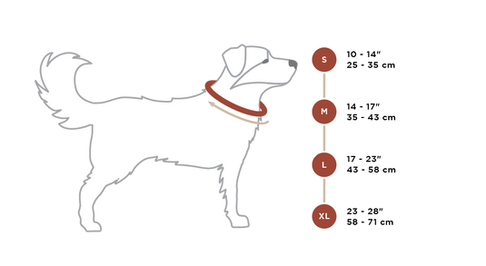 Alpine Dog Collar Size Chart
