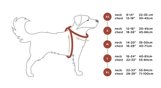 Summit All-Terrain Dog Harness Size Chart
