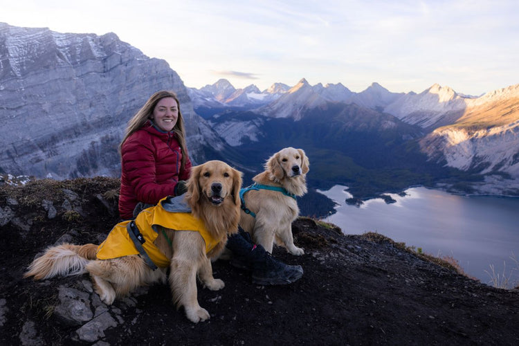 DOG GEAR FOR FALL ADVENTURES