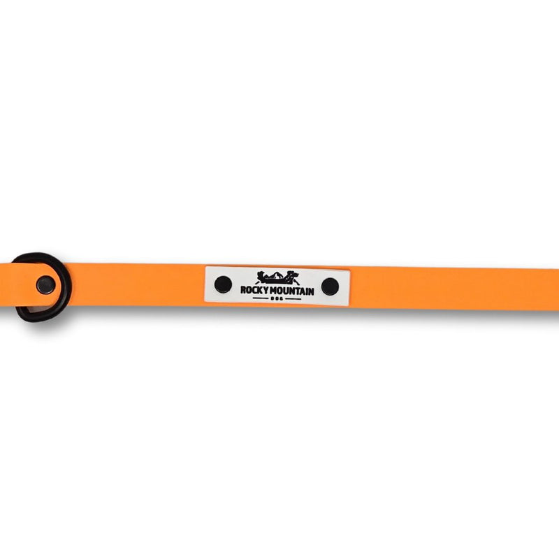 Load image into Gallery viewer, RMD Biothane Leashes - Rocky Mountain Dog