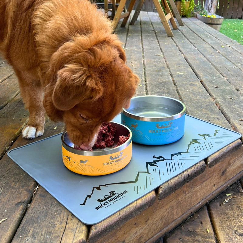 Load image into Gallery viewer, Rocky Mountain Dog Bowl - Rocky Mountain Dog