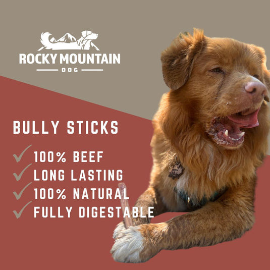 Twelve Inch Standard Bully Sticks (5 pack) - Rocky Mountain Dog