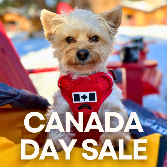 CANADA DAY SALE