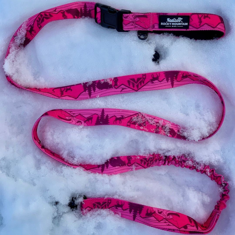 Load image into Gallery viewer, Cascade All Mountain Dog Leash
