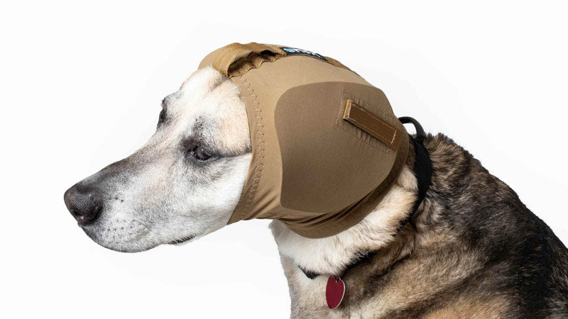 Load image into Gallery viewer, EarPros - Rocky Mountain Dog