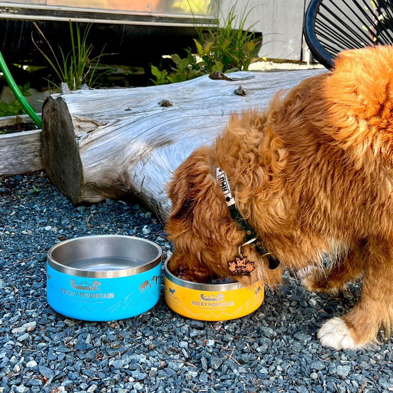 Load image into Gallery viewer, Rocky Mountain Dog Bowl - Rocky Mountain Dog