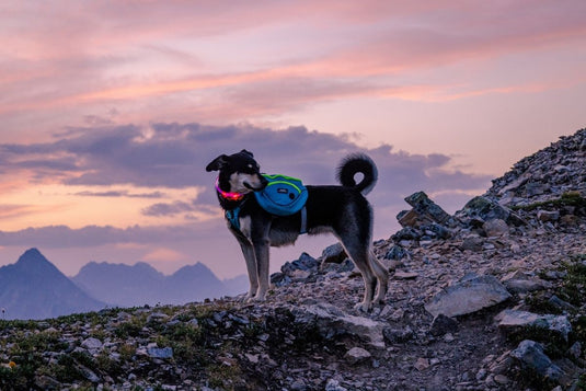 Hiking Bundle