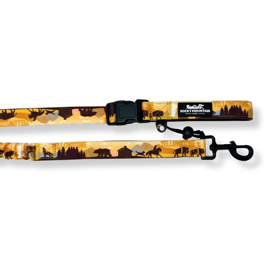 Rocky Mountain dog Yellowstone dog leash 