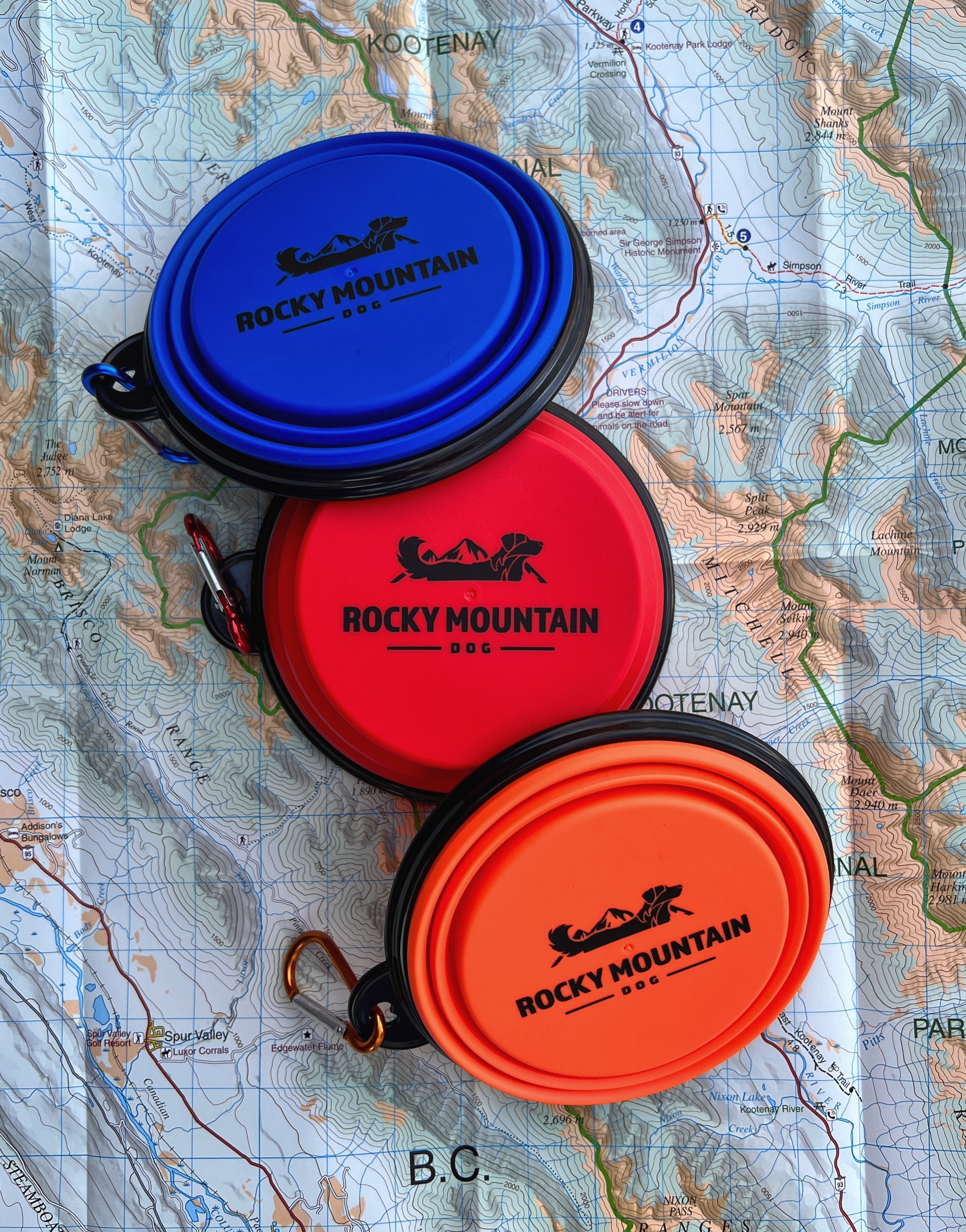 Rocky Mountain Dog Sport Saucer Blue