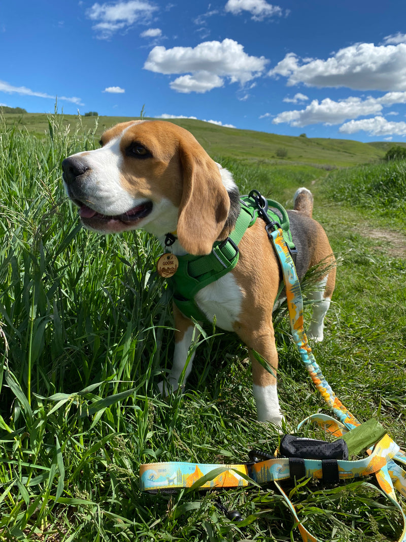 Load image into Gallery viewer, The Bugaboo Poo Bag Dispenser - Rocky Mountain Dog