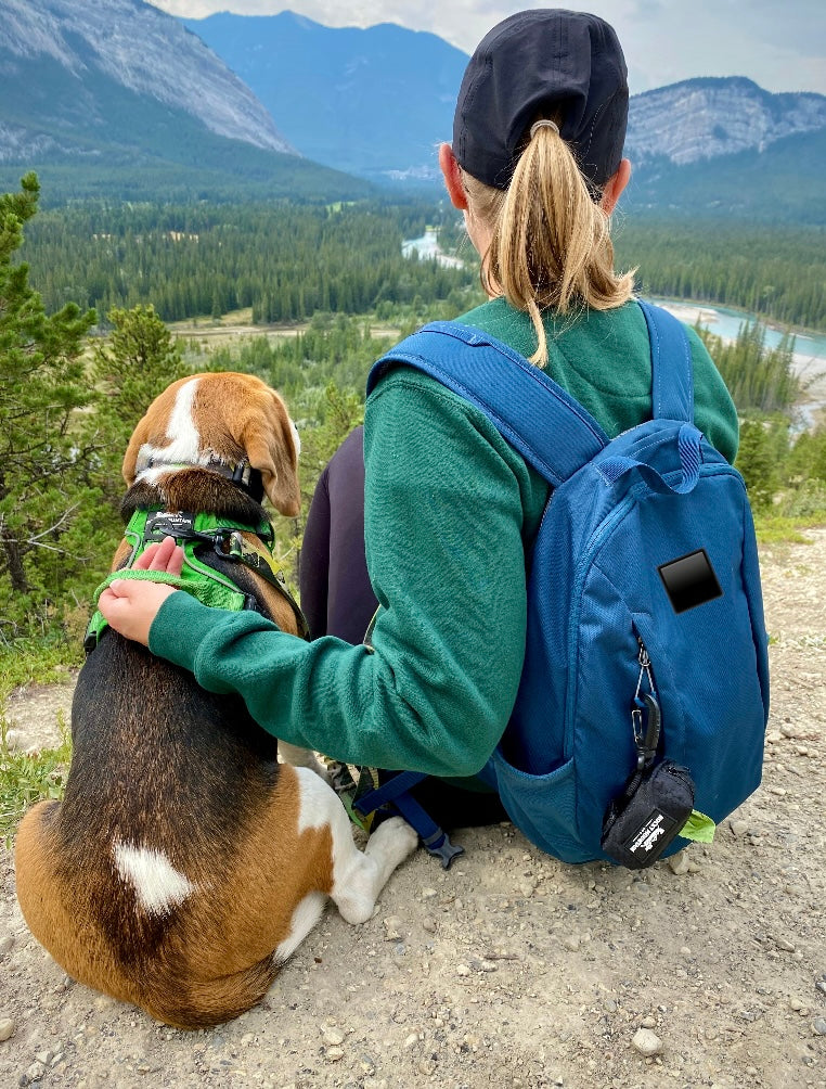 Load image into Gallery viewer, The Bugaboo Poo Bag Dispenser - Rocky Mountain Dog