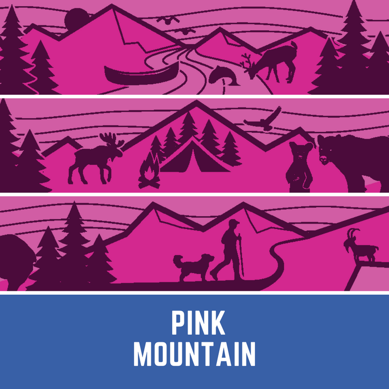 Load image into Gallery viewer, pink mountain leash