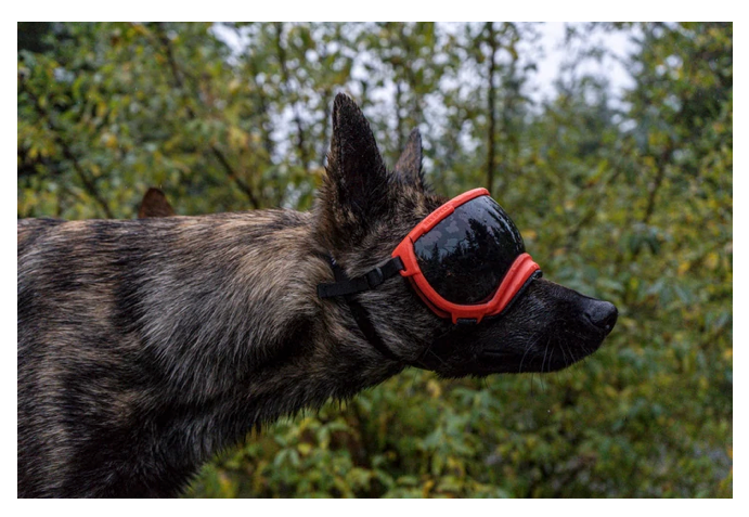 Load image into Gallery viewer, V2 Large Dog Goggles - Rocky Mountain Dog