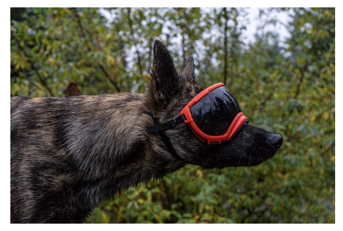 Load image into Gallery viewer, V2 Medium Dog Goggles - Rocky Mountain Dog