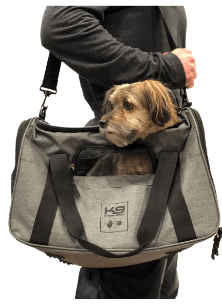 Dog carry clearance on plane