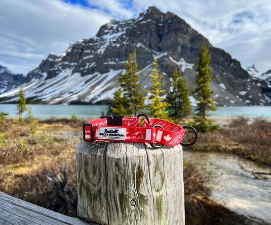 Canadian Rockies Martingale Clip Collar - Rocky Mountain Dog