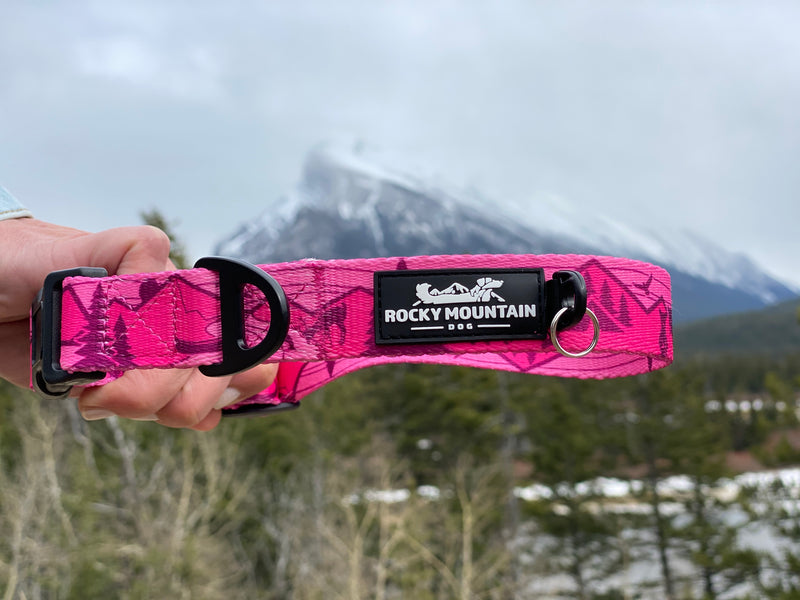 Load image into Gallery viewer, Cascade Alpine Dog Collar - Rocky Mountain Dog