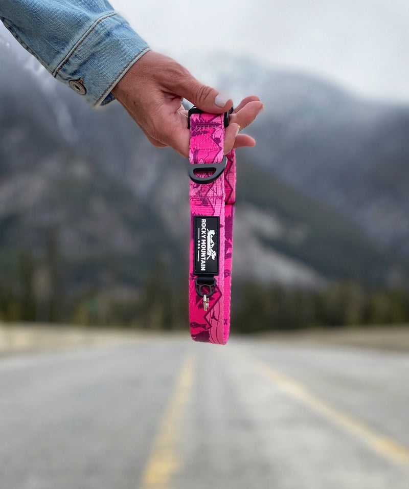 Load image into Gallery viewer, Cascade Alpine Dog Collar - Rocky Mountain Dog