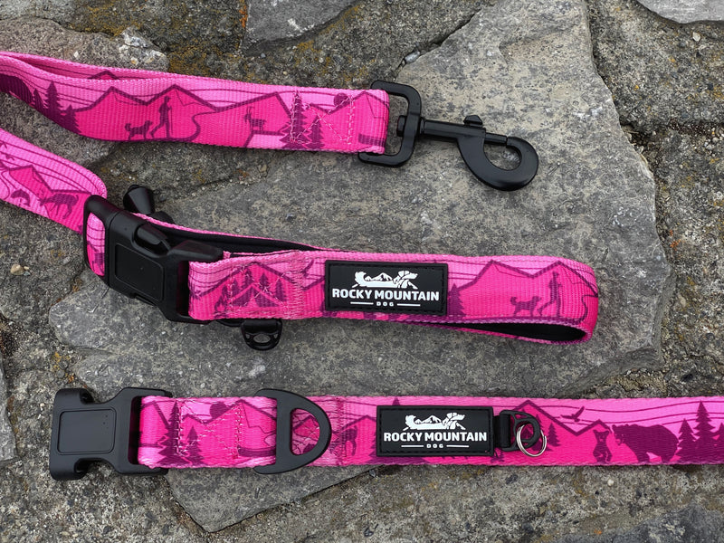 Load image into Gallery viewer, Cascade Alpine Dog Collar - Rocky Mountain Dog