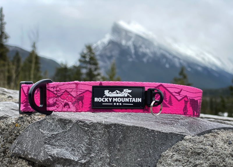Load image into Gallery viewer, Cascade Alpine Dog Collar - Rocky Mountain Dog