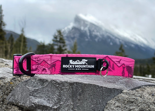 Cascade Alpine Dog Collar - Rocky Mountain Dog