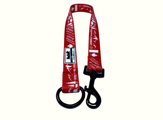 red single dog leash extension