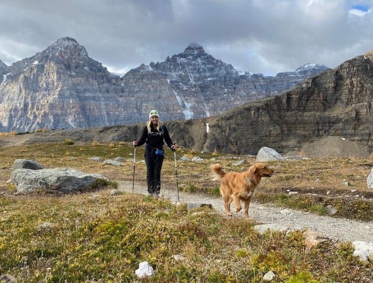 Adventurous Weekend Trips You Can Take With Your Dog