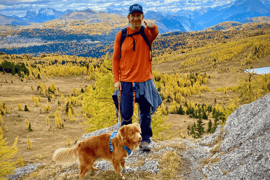 6 Tips for Fall Hiking With Your Dog: Safety, Gear and Seasonal Must-Knows